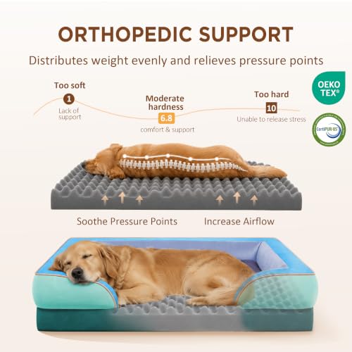 Orthopedic Dog Bed for Extra Large Dogs with Bolster (42.0"L x 30.0"W x 8.5"Th / Violet Tide)