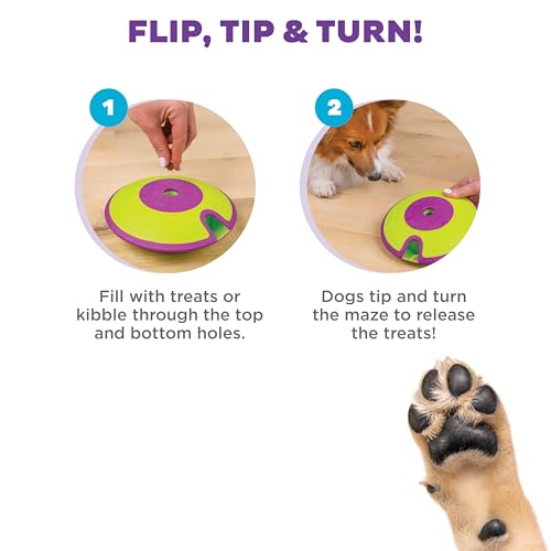 Nina Ottosson Dog Treat Maze Dog Toy (Green / One Size)