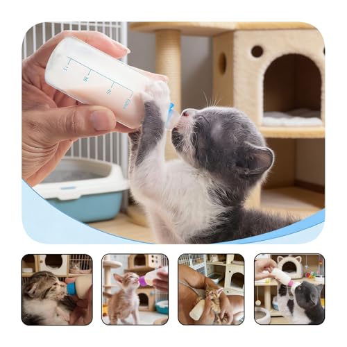 Kitten Bottle Feeding Kit