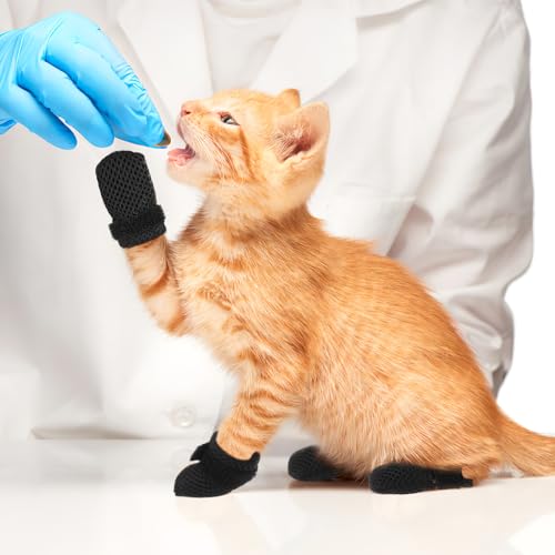Cat Booties to Prevent Scratching (Black / 10X9X0.5CM)