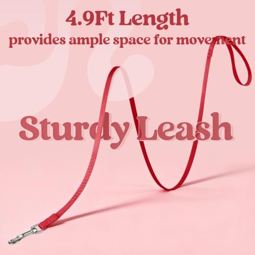 Cat Harness and Leash Set (M / Red)