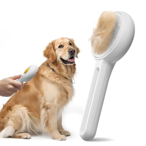Self Cleaning Slicker Cat & Dog Brush