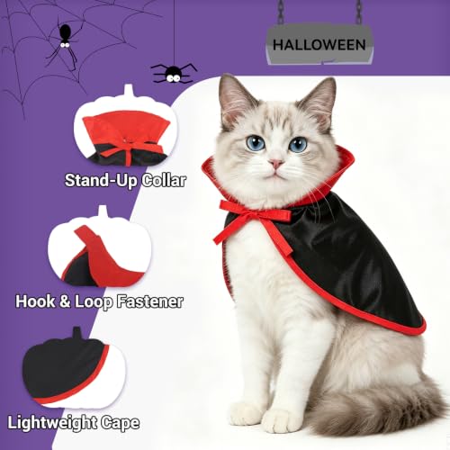 Cat Vampire Costume (Vampire Costume)