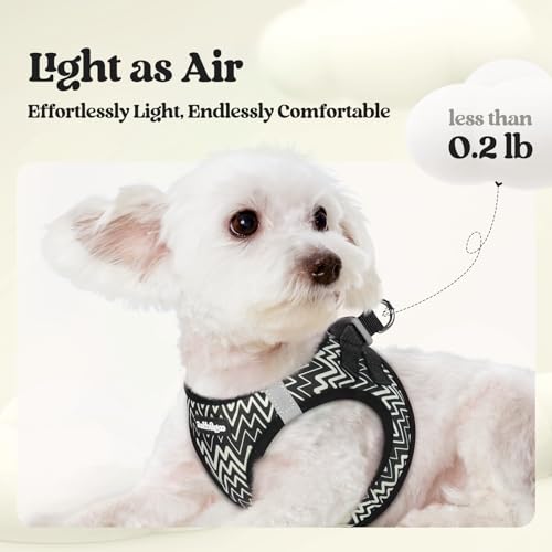 Dog Harness Small Sized and Leash Set (Black Zigzag / Xxs (chest: 12.4 - 14.2"))