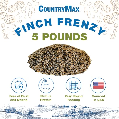 Backyard Seeds 5LB Finch & Small Songbird Frenzy (Finch Frenzy / 5 Pound (Pack of 1))