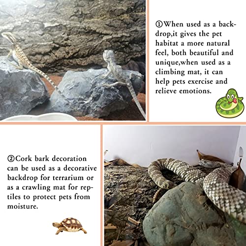 2PCS Cork Terrarium Background (2Pcs-11.8”x7.9”)