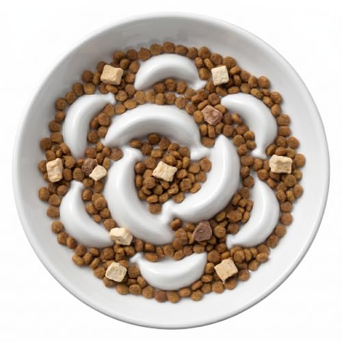 Ceramic Slow Feeder Cat Bowl (White / 1.2"H Standard)