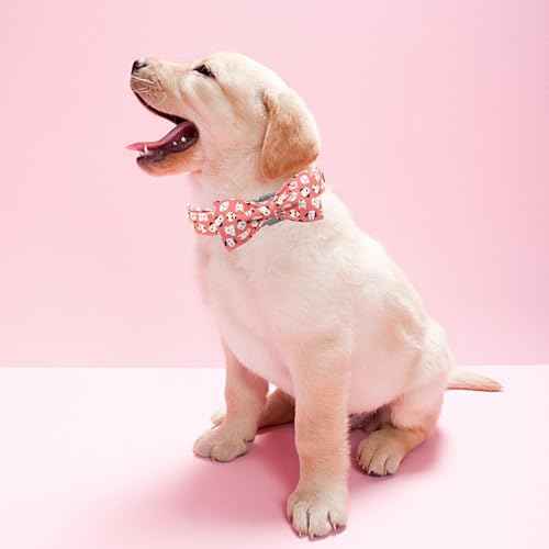 Pink Heart Print Dog Collar (Cute Dog / X-Small (Pack of 1))