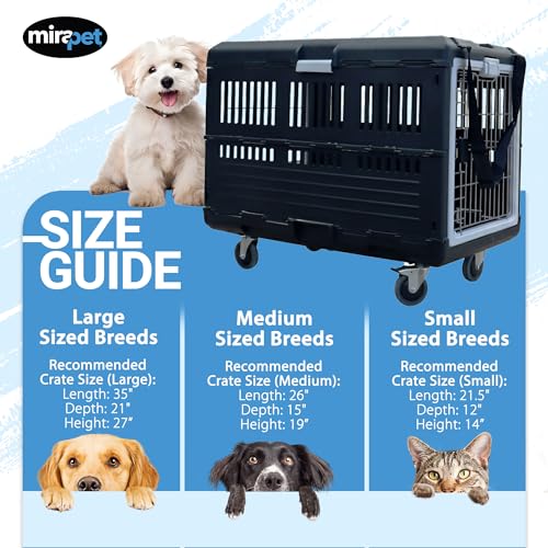 Collapsible Pet Carrier & Travel Kit (Large - Gray / with travel kit)