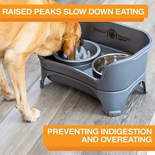 Express Mess Proof Dog Bowls Elevated for Medium and Large Breed (Medium to Large w/ 9 Peak Slow Feed Bowl / Gunmetal Grey)
