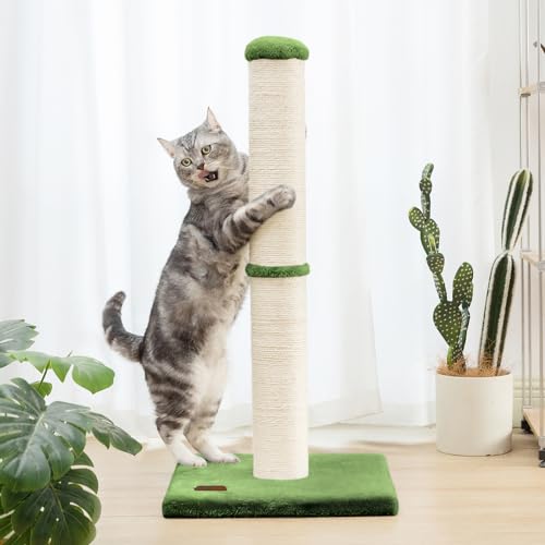 34" Tall Cat Scratching Post with Sisal Rope for Indoor Cats Green (Green)