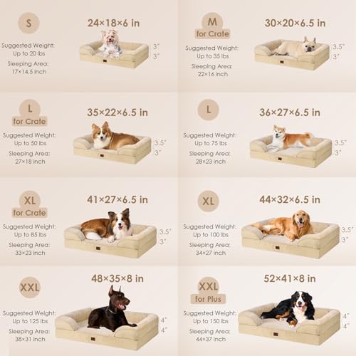 Orthopedic Dog Beds Large Sized Dog (Graige / 41.0"l X 27.0"w X 6.5"th)