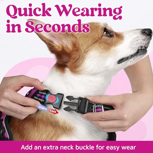 Dog Harness Small Sized (Purple / Small)