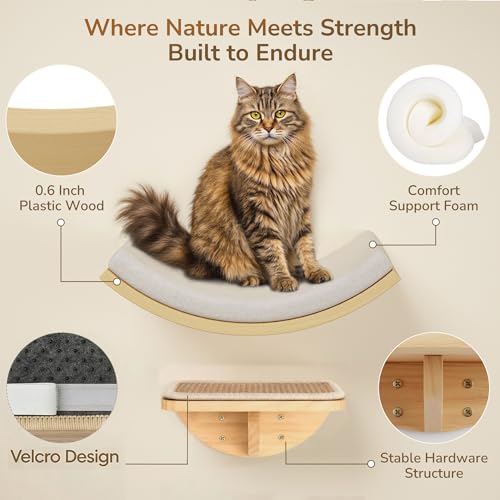 Cat Window Perches (Combo A (1 Foam-Mat Bed, 2 Steps) / Normal)