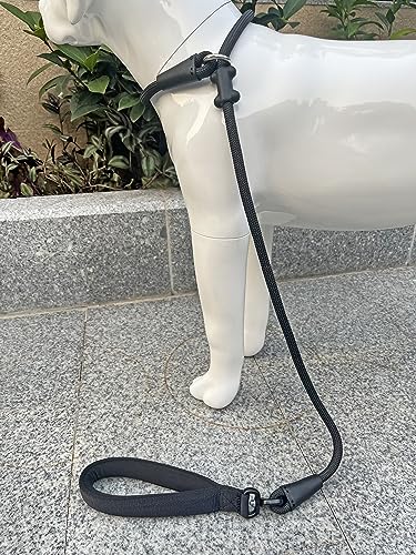 Slip Lead Dog Leash (1/2"×4ft / Black)