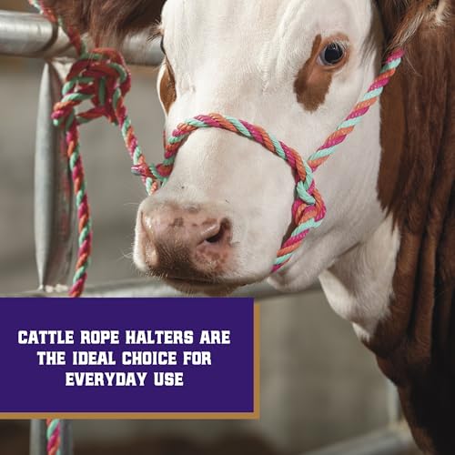 Braided Poly Rope Cattle Halter