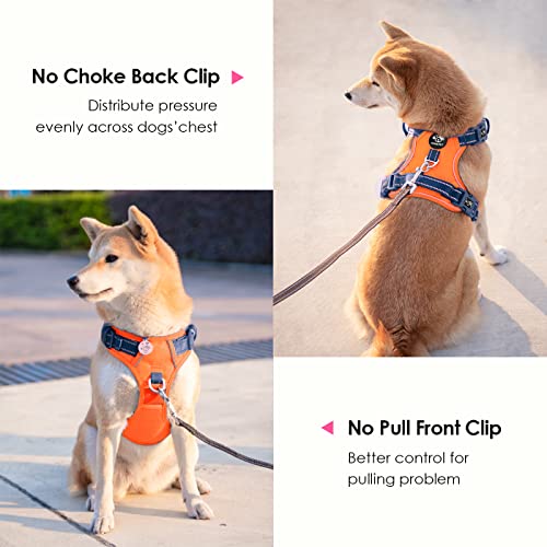 No Pull Dog Harness (Orange Base & Blue Straps / Small)