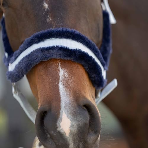 Valkyrie Ultra Fleece Padded Leather Fuse Breakaway Horse Halter (Sweet Blue/Navy / Horse)