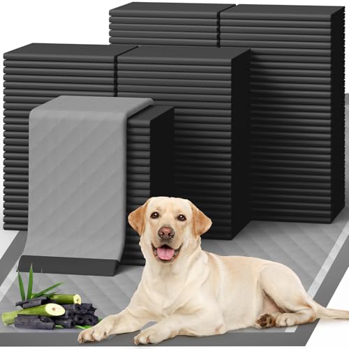 Charcoal Puppy Pads for Dogs (Black / 34" x 28" (100 Packs))