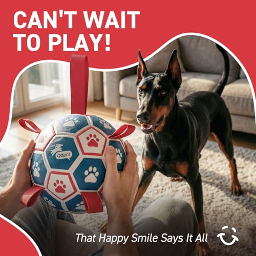 Large Outdoor Dog Toy (Blue-Red / Ultra Large Size 7 (10 Inch))