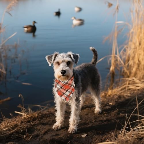 Fall Thanksgiving Dog Bandana (Small / Fall-2)