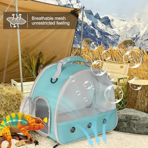 Guinea Pig Carrier (Green)
