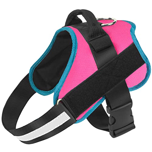 Dog Harness No (Small (Pack of 1) / RoseTurquoise)