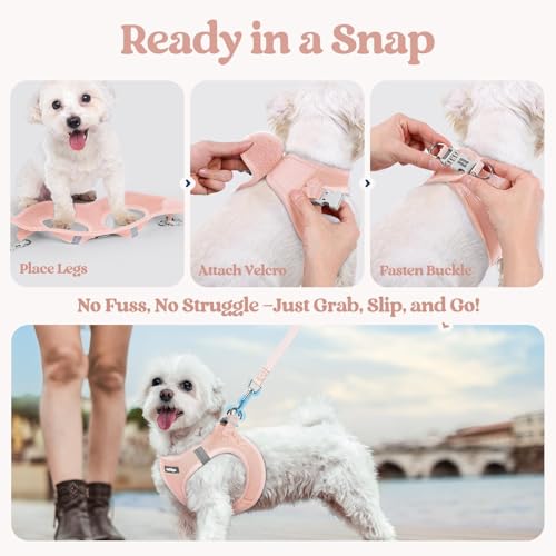 Dog Harness Small Sized and Leash Set (Pink / Xs (chest: 13.3 - 15.5"))