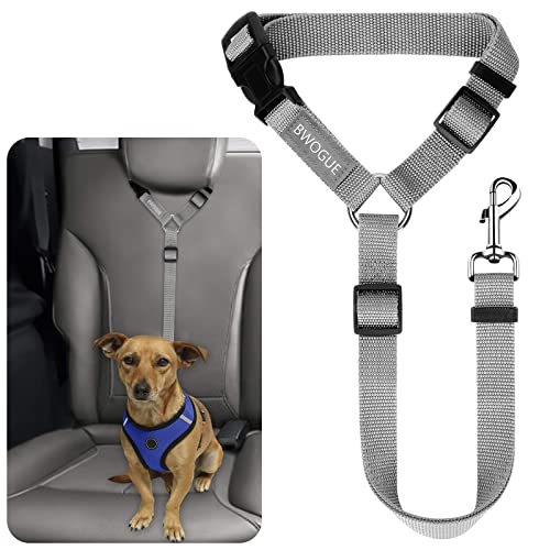 Dog Seat Belt for Car (Grey)