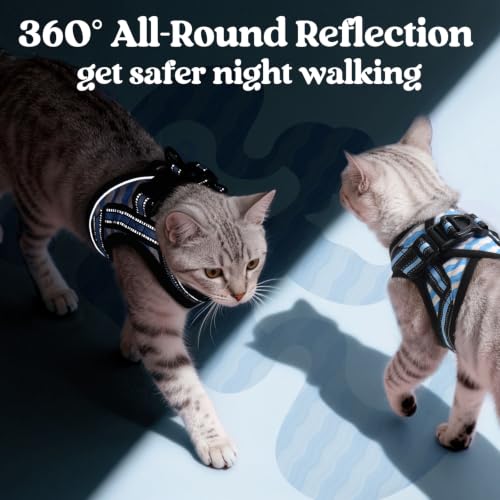 Cat Harness and Leash Set (L / Blue Wave)