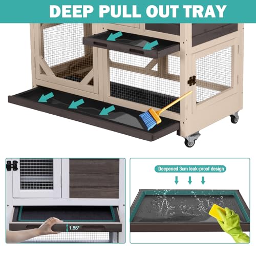 Rabbit Hutch Indoor for 2