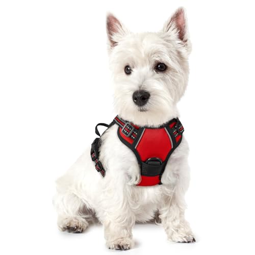 Dog Harness No Pull for Small Dogs with 2 Leash Clips (X-Small / Red)