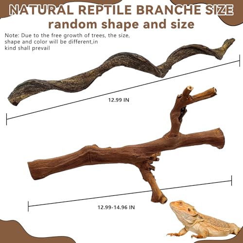 2PCS Reptile Wood Branches (1 Grapewood Branch + 1 Mountain Vine Branch)