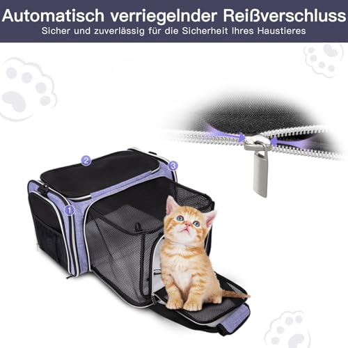 Cat Carrier Bag (Purple / 17.5"L x 12.0"W x 11.5"H)