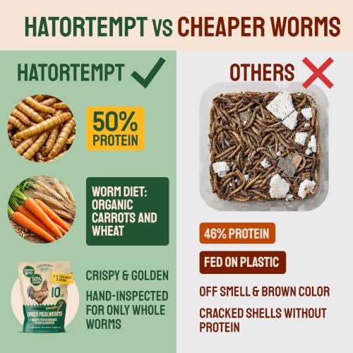 2lb Dried Mealworms for Wild Birds & Chickens (2 Pound (Pack of 1))