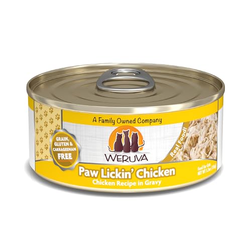 Classic Cat Food (5.5 Ounce (Pack of 24))
