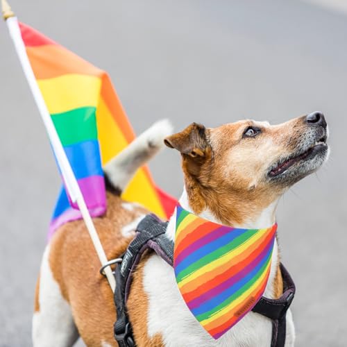 Rainbow Dog Bandana (X-Large / Rainbow)