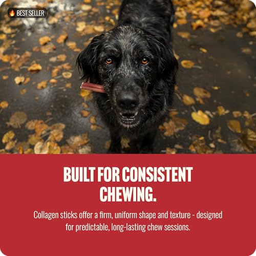 Odor Free Super Collagen Dog Chews (6" Standard - 15 Count)