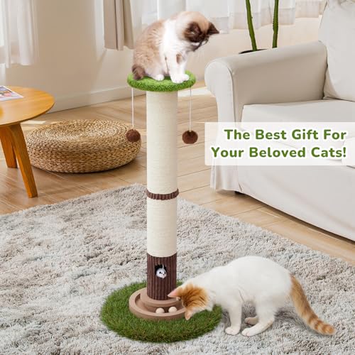 34" Tall Cat Scratching Posts (Green)