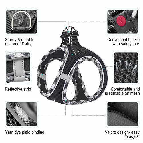 Dog Harness with Leash Set (XS / Black)