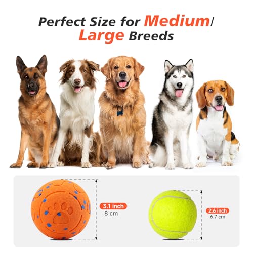 Interactive Dog Ball Toy