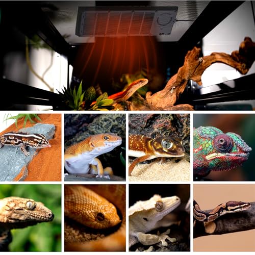 Reptile Heat Panel Adjustable Temperature Reptile Heating Plate (6" X 18")