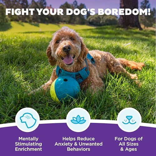 Nina Ottosson Treat Tumble Dog Toy Puzzle Ball (Blue / 1 Count (Pack of 1))