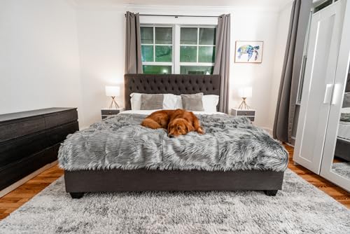PupProtector Waterproof Throw Blanket (Charcoal Grey / Large (80" L x 62" W))