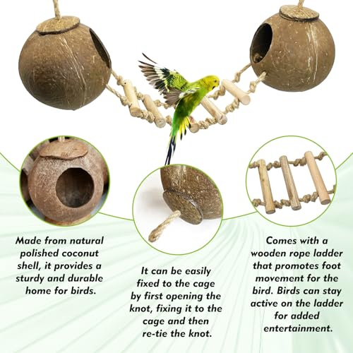 5Pcs Bird Coconut House with Ladder Parakeet Coconut Nest for Cages Parrot Hut Hanging Natural Coconut Fiber Conure Chewing Toys for Cockatiel Budgie Lovebird Cockatoos