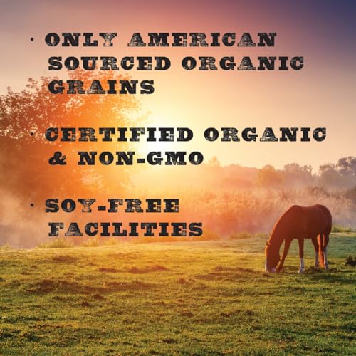 Performance Horse Feed for Horses in Light to Moderate Work (40 Pound (Pack of 1))
