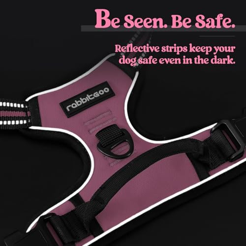 Dog Harness No Pull with 2 Leash Clips (X-Large / Pink)