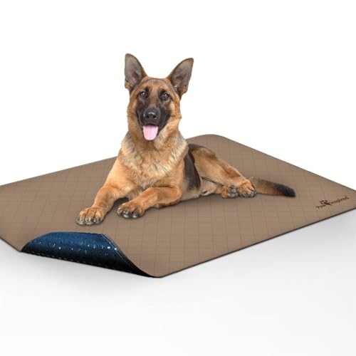 Washable Pee Pad for Dogs ("48x60" (1 pack)")