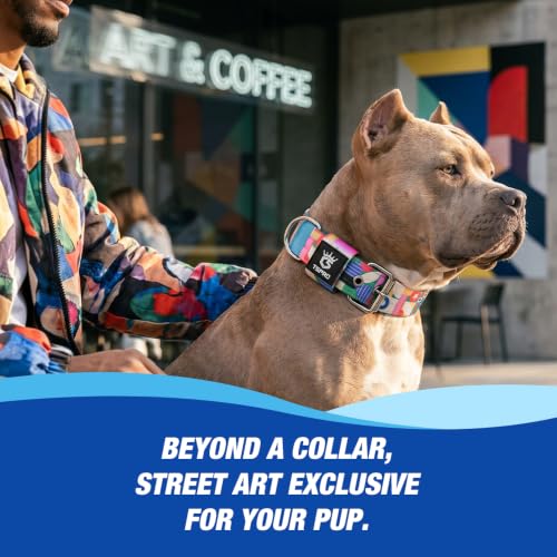Heavy Duty Thick Dog Collar with Metal Buckle for Medium Dogs (M – Fits Neck 15.8"-18.9" / Memphis Geometric Print)