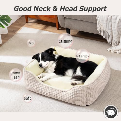 X Large Dog Bed for Large (Ivory Beige / XL(35’’x 25’’x 9’'))